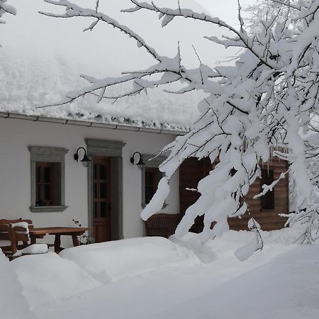 Farm Stay Dolinar Krainer Bohinjska Bela Zewnętrze zdjęcie