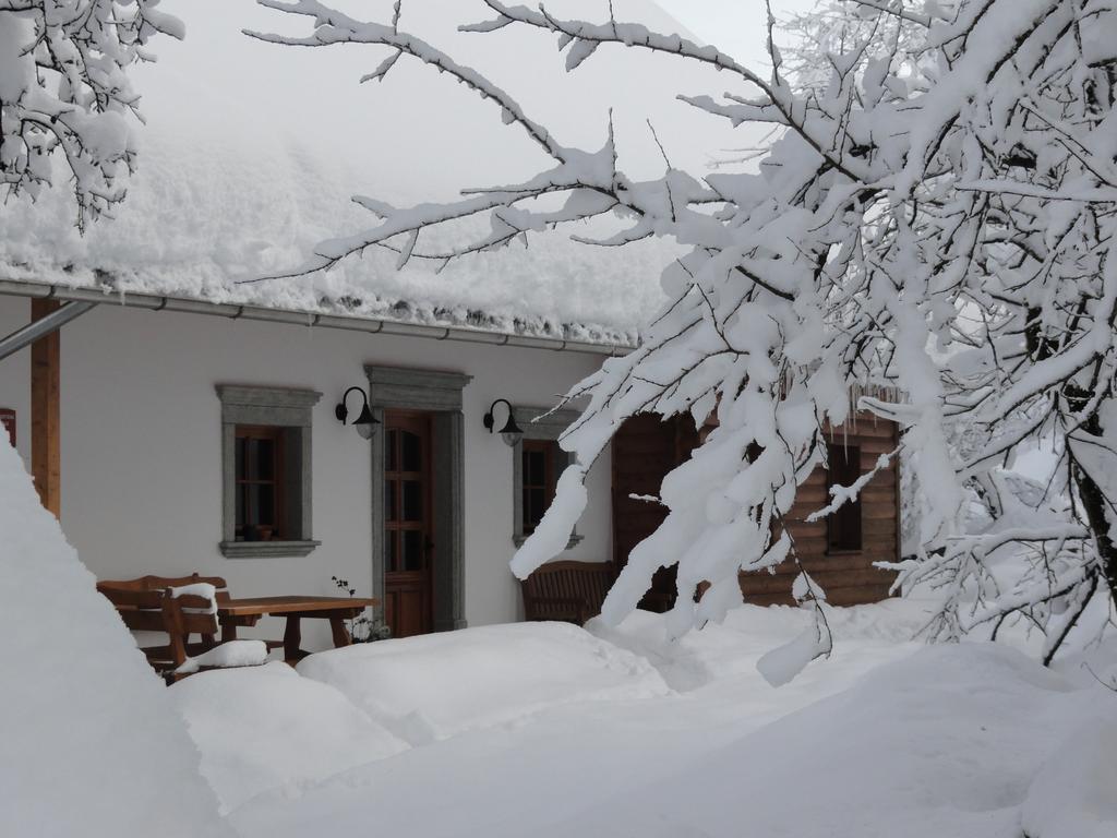 Farm Stay Dolinar Krainer Bohinjska Bela Zewnętrze zdjęcie